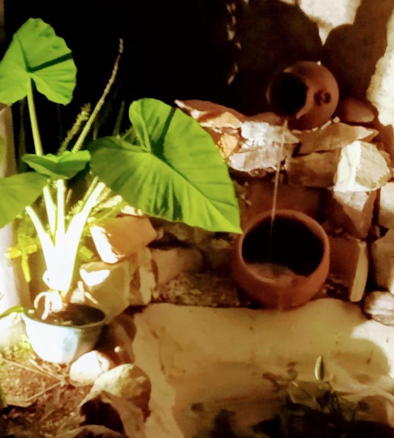 דירות קורדובה Raiz Del Cielo, Entre 2 Jardines De Ensueno מראה חיצוני תמונה