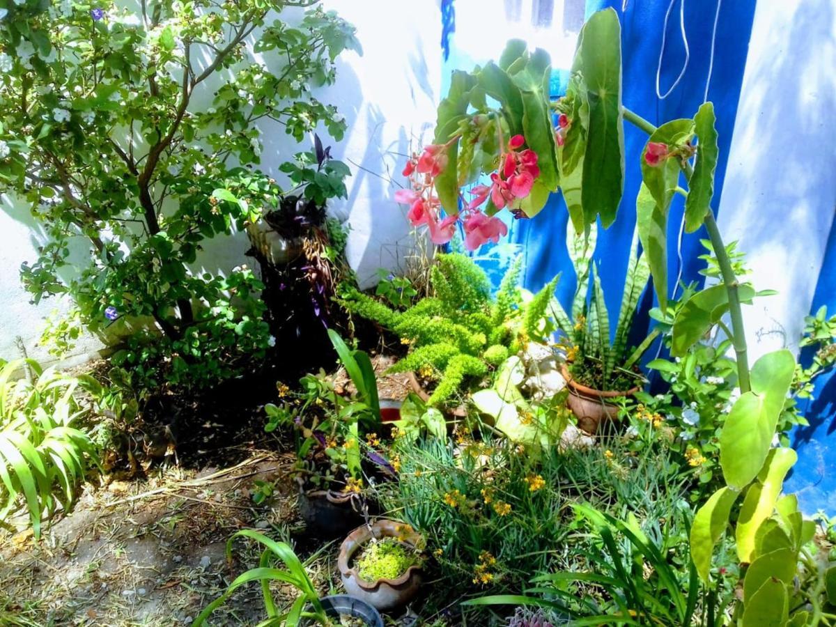 דירות קורדובה Raiz Del Cielo, Entre 2 Jardines De Ensueno מראה חיצוני תמונה